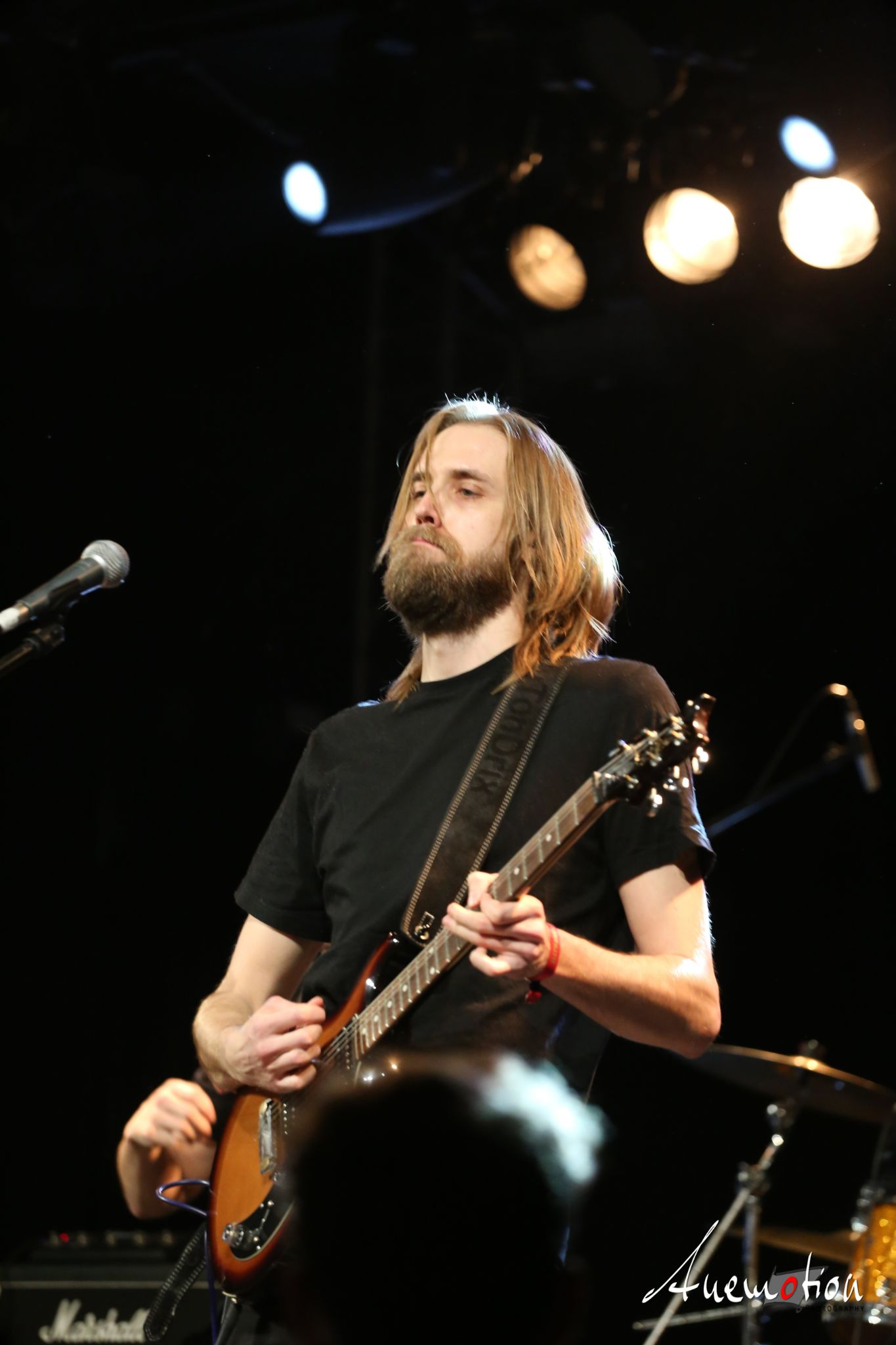 ElephantsFalling (79)